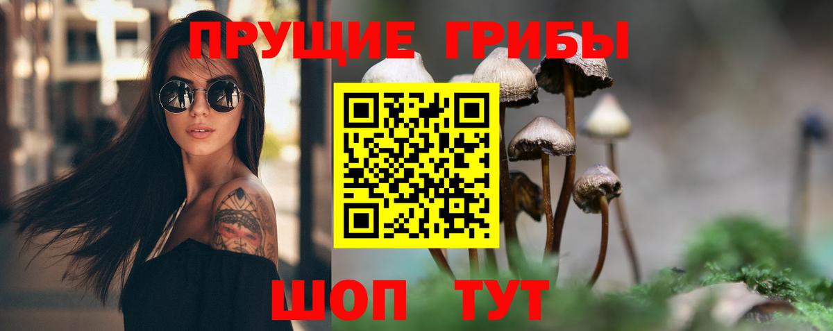 Еманжелинск  Псилоцибиновые грибы прущие грибы  Вход с VPN 